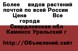 Более200 видов растений почтой по всей России › Цена ­ 100-500 - Все города  »    . Свердловская обл.,Каменск-Уральский г.